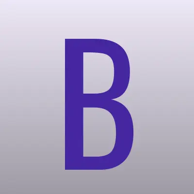 БС-Сервис, лого-визитка