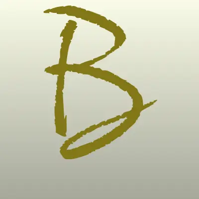 BSKметаллолом, лого-визитка