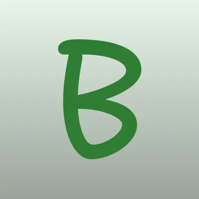 БЗС, лого-визитка