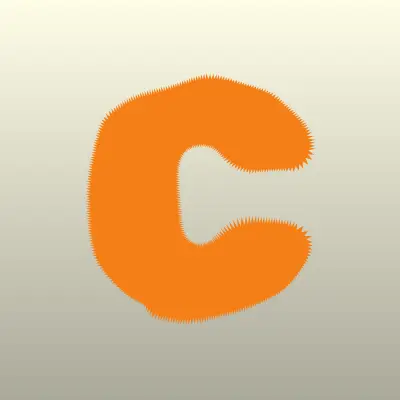 Частнопрактикующий оценщик Сетейкина А.Б., лого-визитка