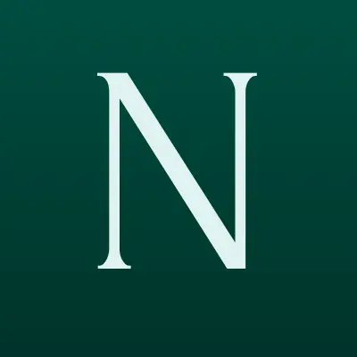 Nookie, интим-магазин, лого-визитка