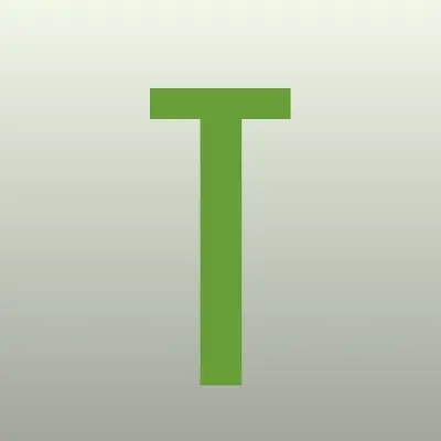 Тим Авто, детейлинг-студия, лого-визитка
