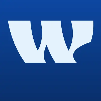 Wildberries.ru, интернет-магазин, лого-визитка